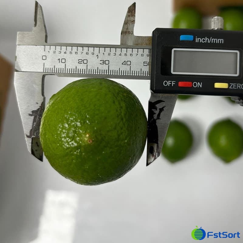 images/1733814758996limes size.jpg